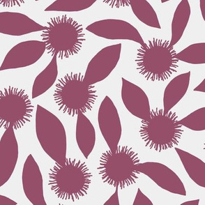 hakea - pink on grey