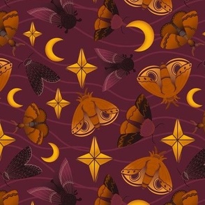 Moth and Stars 