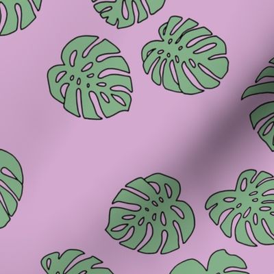 Monstera leaves summer garden boho design plant texture tropical hawaii nursery cool pink green mint