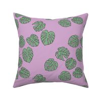 Monstera leaves summer garden boho design plant texture tropical hawaii nursery cool pink green mint