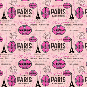 Vintage Paris Travel Pink Smaller Scale
