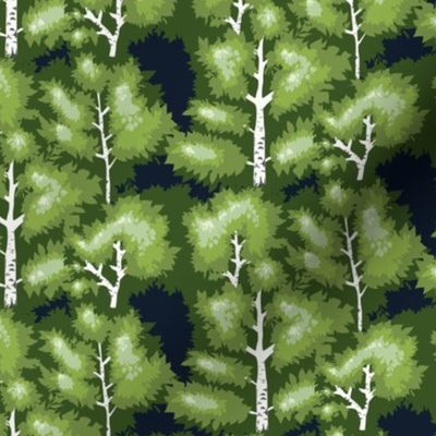 green spring birch tree forest small