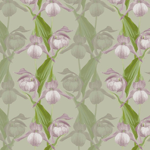 Pink and white slipper orchid, retro pattern