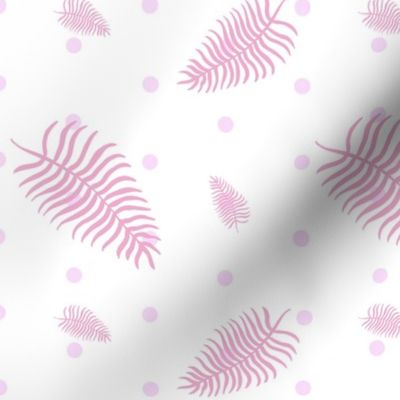 Pink Ferns