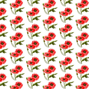 Red Poppies in 1/2 drop pattern