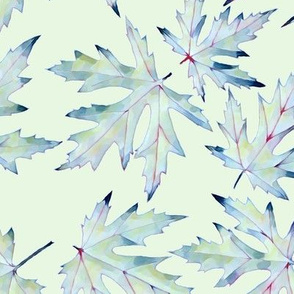 Silver Maple - on mint background