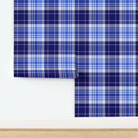 Greek Waves Tartan