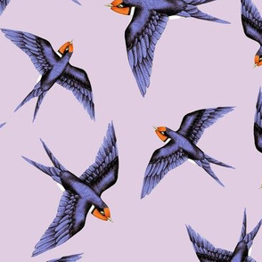 Swooping Swallow Lavender // standard