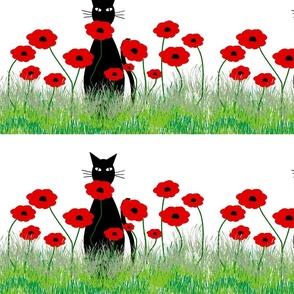 Black Cat and Red Poppies