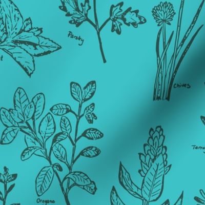 herb botanical drawings - blue - large