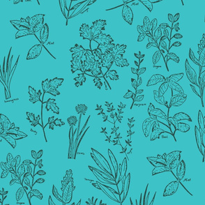 herb botanical drawings - blue - large