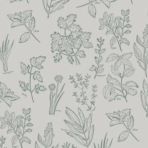 herb botanical drawings - gray - large