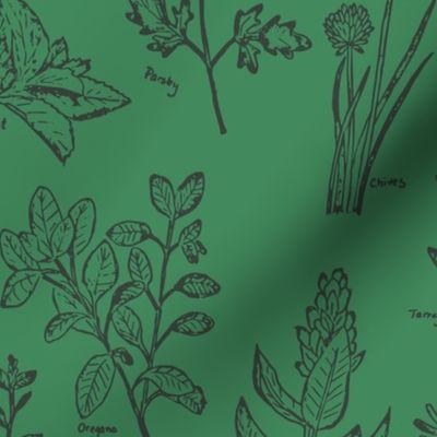 herb botanical drawings - dark green - large