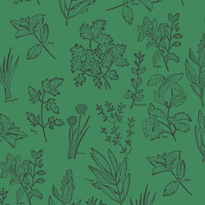 herb botanical drawings - dark green - large