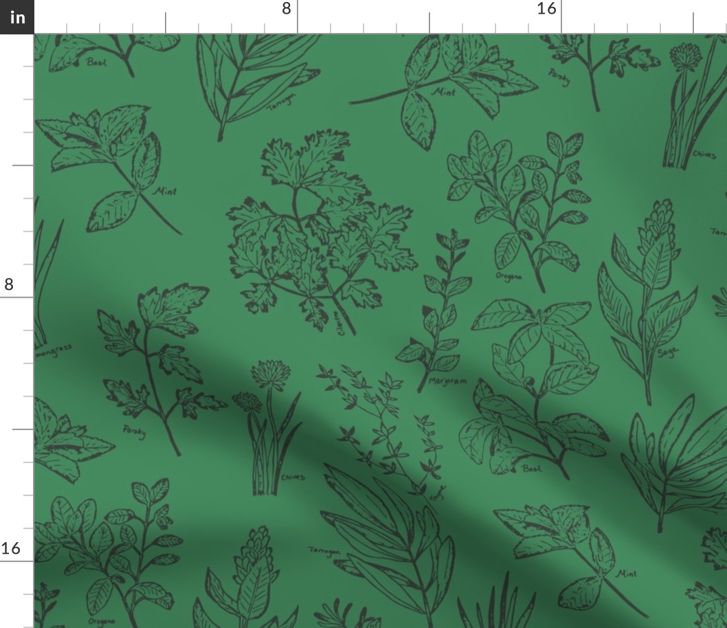 herb botanical drawings - dark green - large