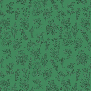 herb botanical drawings -dark green - medium