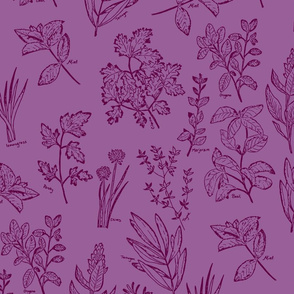 herb botanical drawings - purple - large