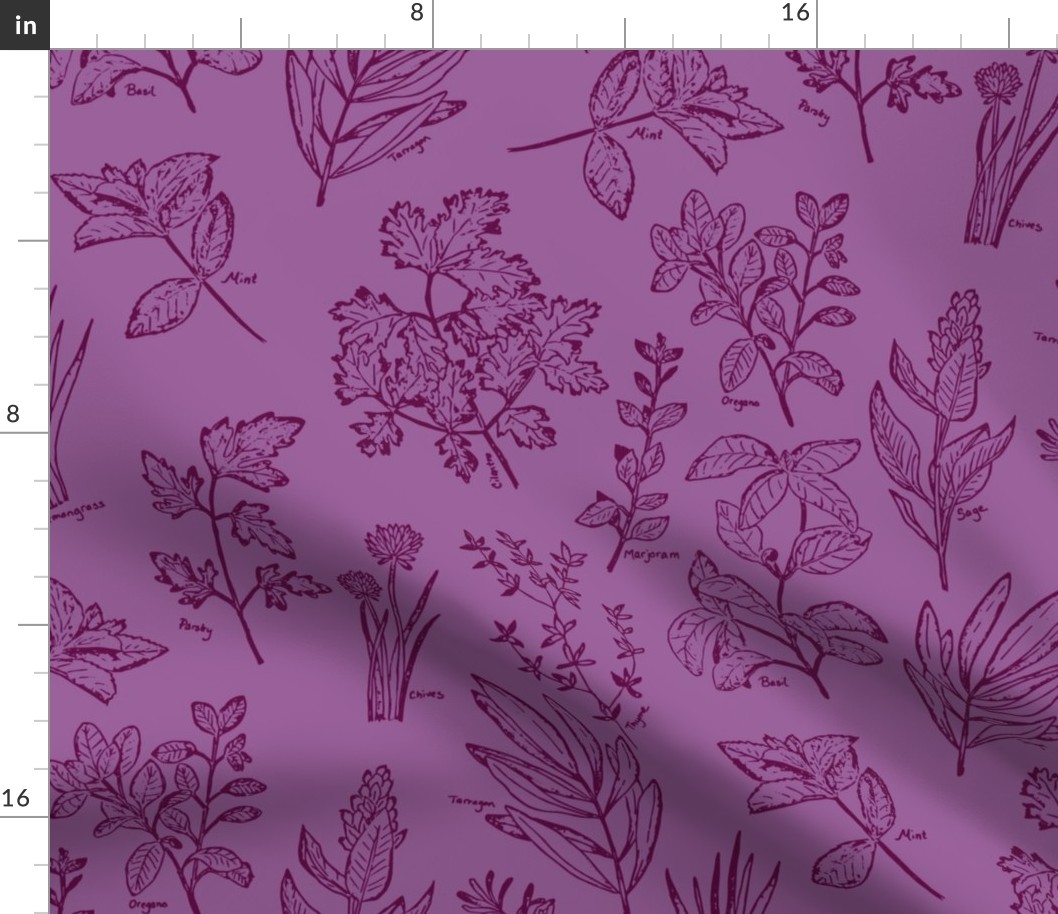 herb botanical drawings - purple - large
