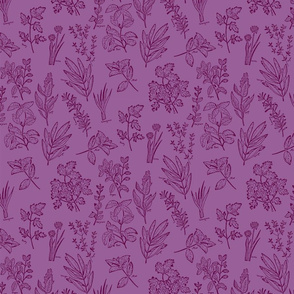 herb botanical drawings - purple - medium