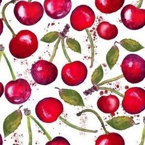 Juicy Red Cherries on White with Juice Splashes