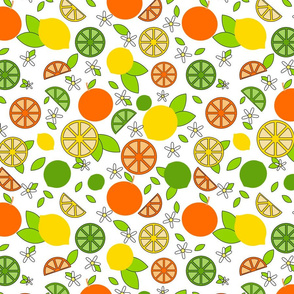 Citrus Pop- Orange Lemon Lime-  Colorful on White- Regular Scale