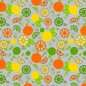 Citrus Pop- Orange Lemon Lime-  Colorful on Ash Gray- Regular Scale