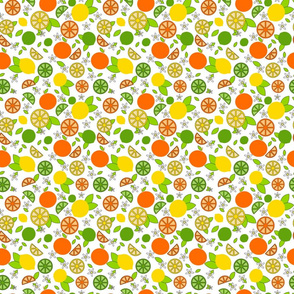 Citrus Pop- Orange Lemon Lime-  Colorful on White- Small Scale