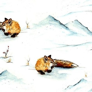 Fox in the snow 