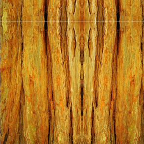 yellow bark vertical