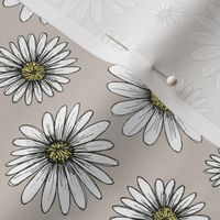daisies on light gray