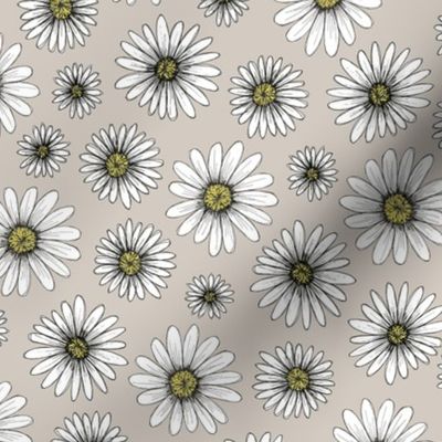 daisies on light gray