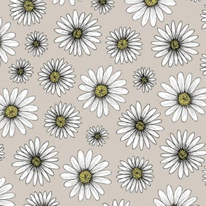 daisies on light gray