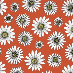 daisies on poppy