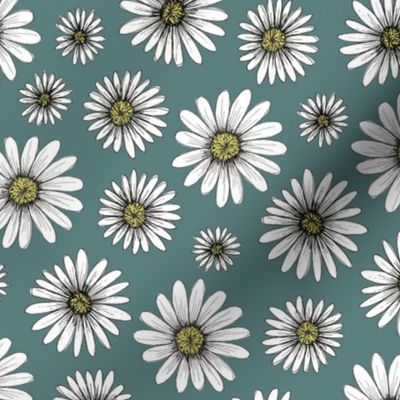 daisies on blue