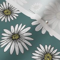 daisies on blue