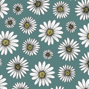 daisies on blue