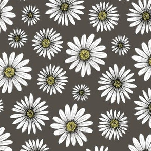 daisies on dark gray