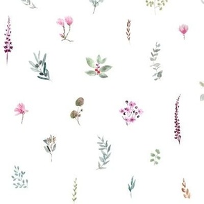 Little Botanics minimalist 