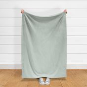 Light Sage Green plain solid block ccd6ce by Jac Slade