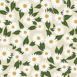 Daisy Field - White Flowers / Medium