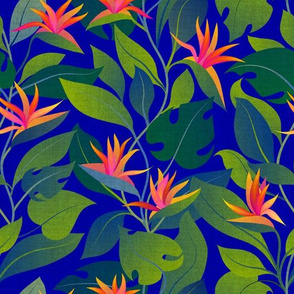 custom tropical flowers bird of paradise bright blue background