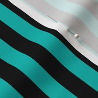 Vertical Awning Stripe Pattern - Vivid Turquoise and Black