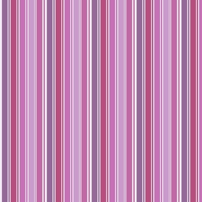 pink peony stripe 4x4