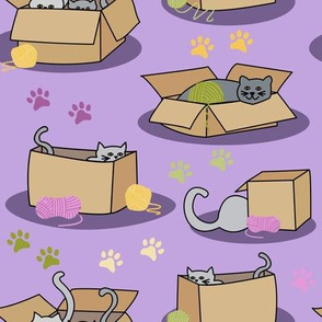 Cats with Yarn and Cardboard Boxes Medium