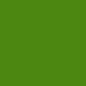 wild honeysuckle bright green