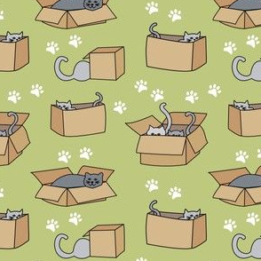 Cats in Cardboard Boxes Small Green