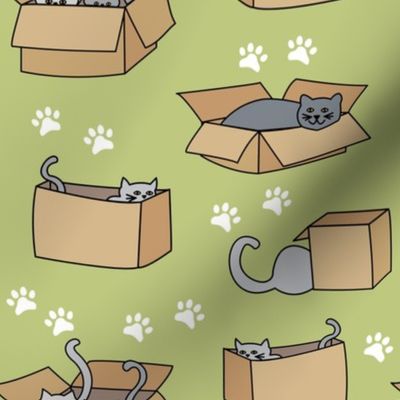 Cats in Cardboard Boxes Medium Green