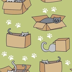 Cats in Cardboard Boxes Medium Green