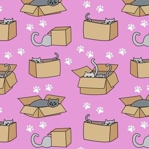 Cats in Cardboard Boxes Small Pink