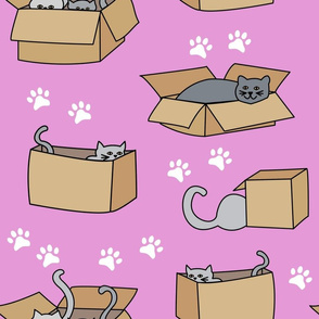 Cats in Cardboard Boxes Large Pink